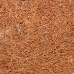 Coco Coir