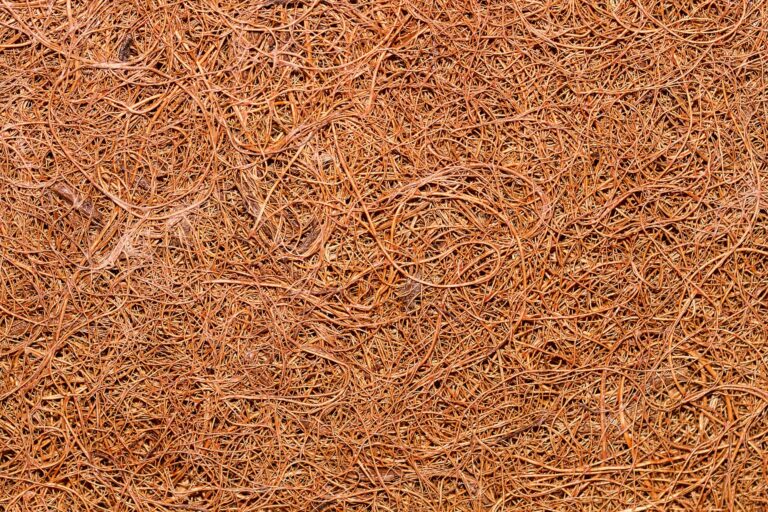 Coco Coir